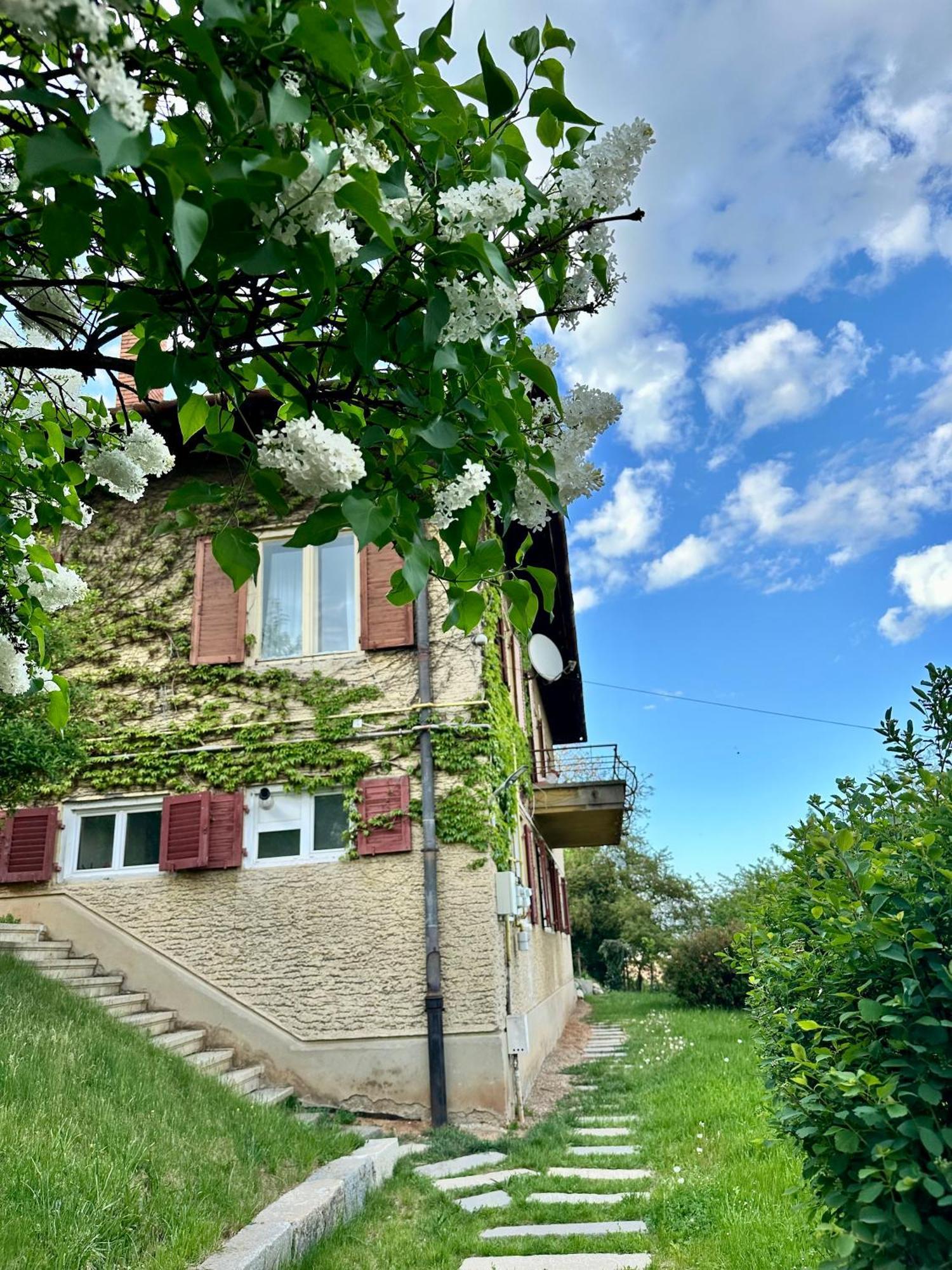 Cloos - Elegant Residence With Panoramic View Braşov Buitenkant foto